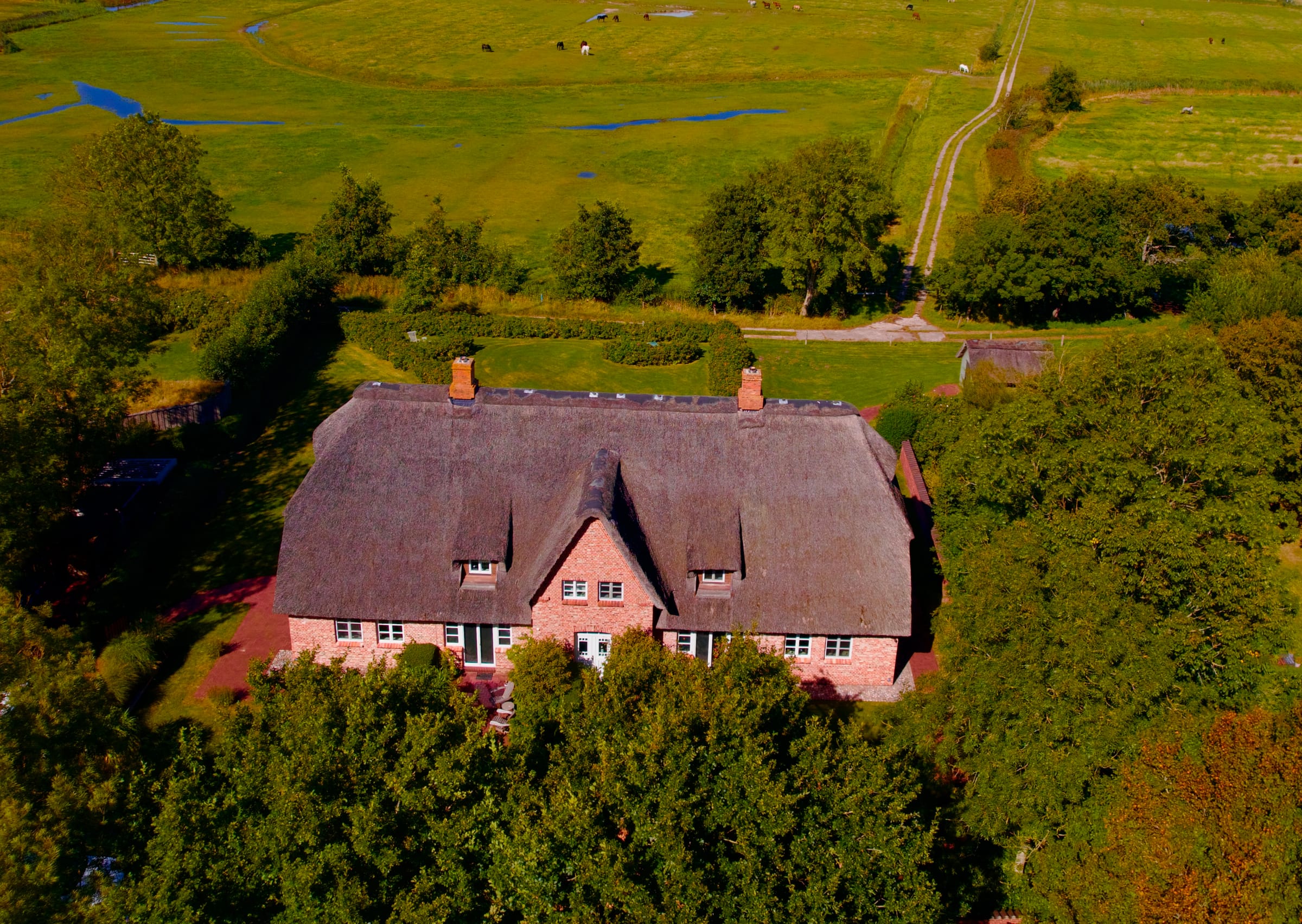 Garten mit Apfelbäumen vor dem Reetdach